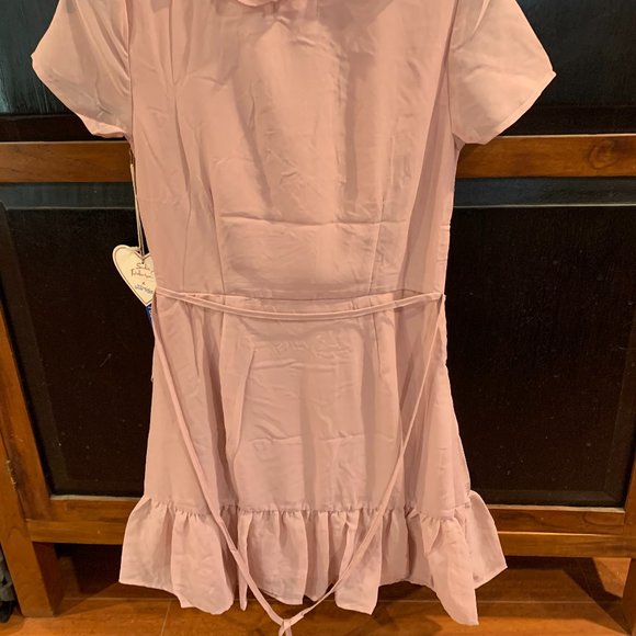 NWT! Wild Blue - Sadie Robinson Pink Ruffle Dress - Small - Picture 2 of 3